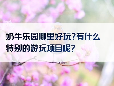 奶牛乐园哪里好玩？有什么特别的游玩项目呢？