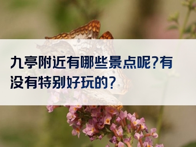 九亭附近有哪些景点呢？有没有特别好玩的？