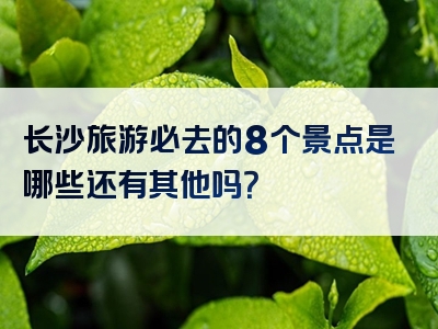 长沙旅游必去的8个景点是哪些还有其他吗？