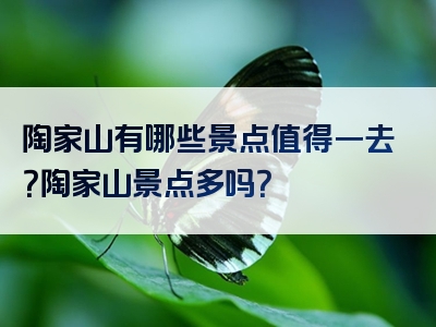 陶家山有哪些景点值得一去？陶家山景点多吗？