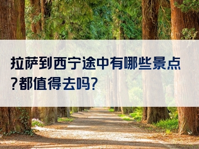 拉萨到西宁途中有哪些景点？都值得去吗？
