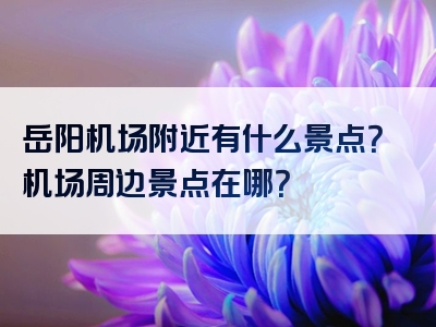 岳阳机场附近有什么景点？机场周边景点在哪？