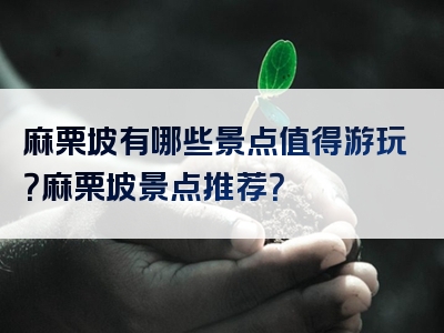 麻栗坡有哪些景点值得游玩？麻栗坡景点推荐？