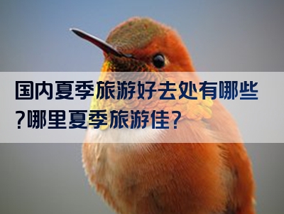 国内夏季旅游好去处有哪些？哪里夏季旅游佳？