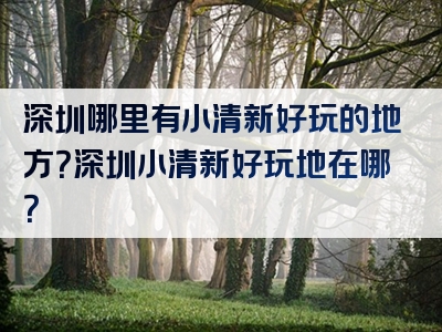 深圳哪里有小清新好玩的地方？深圳小清新好玩地在哪？