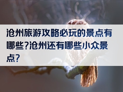 沧州旅游攻略必玩的景点有哪些？沧州还有哪些小众景点？