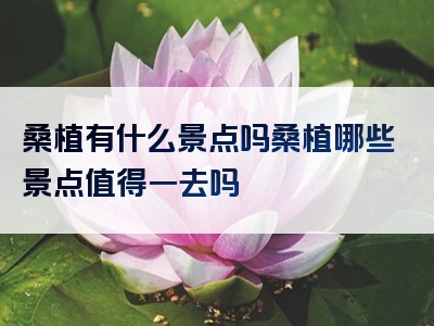 桑植有什么景点吗桑植哪些景点值得一去吗