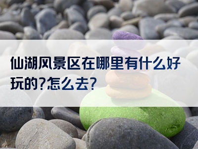 仙湖风景区在哪里有什么好玩的？怎么去？