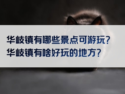 华岐镇有哪些景点可游玩？华岐镇有啥好玩的地方？