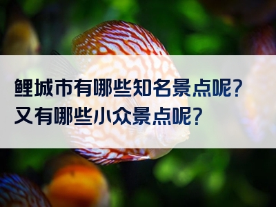 鲤城市有哪些知名景点呢？又有哪些小众景点呢？