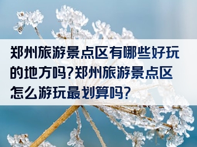 郑州旅游景点区有哪些好玩的地方吗？郑州旅游景点区怎么游玩最划算吗？