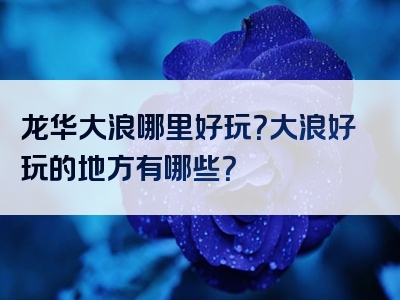 龙华大浪哪里好玩？大浪好玩的地方有哪些？