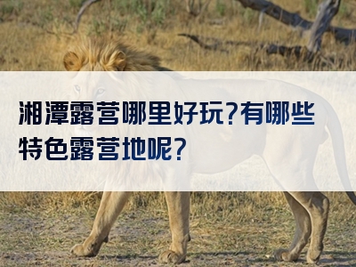 湘潭露营哪里好玩？有哪些特色露营地呢？