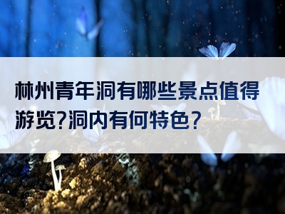 林州青年洞有哪些景点值得游览？洞内有何特色？