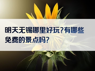 明天无锡哪里好玩？有哪些免费的景点吗？