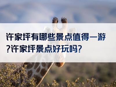 许家坪有哪些景点值得一游？许家坪景点好玩吗？