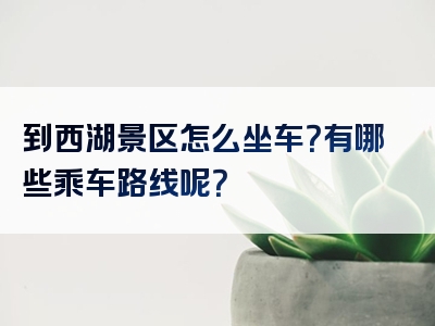 到西湖景区怎么坐车？有哪些乘车路线呢？