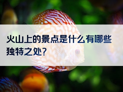 火山上的景点是什么有哪些独特之处？