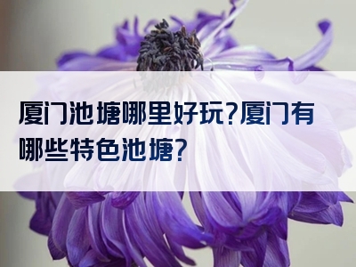 厦门池塘哪里好玩？厦门有哪些特色池塘？