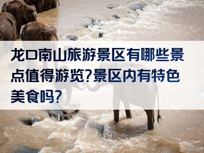 龙口南山旅游景区有哪些景点值得游览？景区内有特色美食吗？