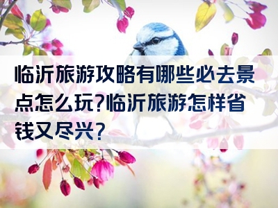 临沂旅游攻略有哪些必去景点怎么玩？临沂旅游怎样省钱又尽兴？