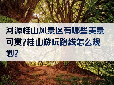 河源桂山风景区有哪些美景可赏？桂山游玩路线怎么规划？