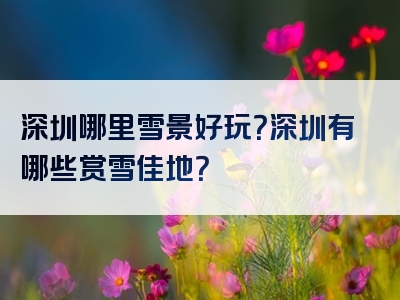 深圳哪里雪景好玩？深圳有哪些赏雪佳地？
