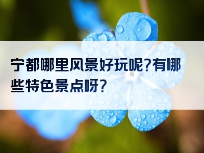 宁都哪里风景好玩呢？有哪些特色景点呀？