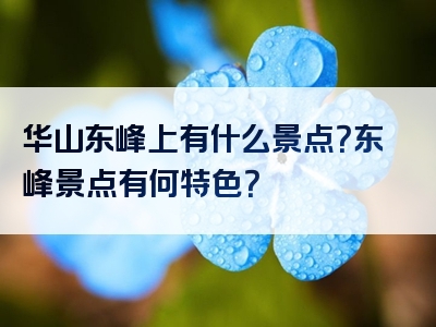 华山东峰上有什么景点？东峰景点有何特色？
