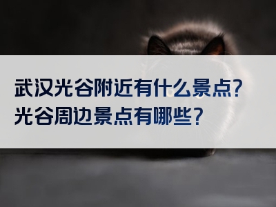 武汉光谷附近有什么景点？光谷周边景点有哪些？