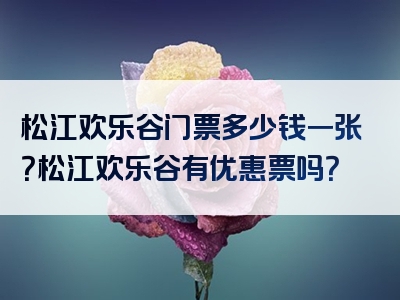 松江欢乐谷门票多少钱一张？松江欢乐谷有优惠票吗？