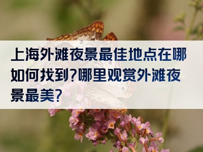 上海外滩夜景最佳地点在哪如何找到？哪里观赏外滩夜景最美？