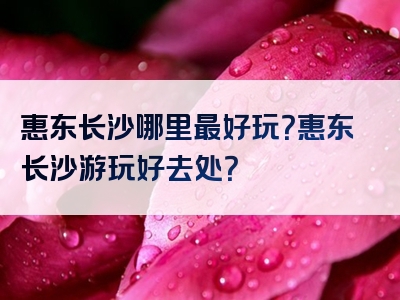惠东长沙哪里最好玩？惠东长沙游玩好去处？