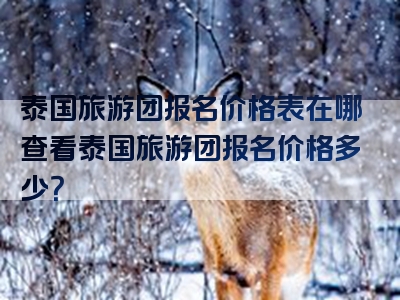 泰国旅游团报名价格表在哪查看泰国旅游团报名价格多少？