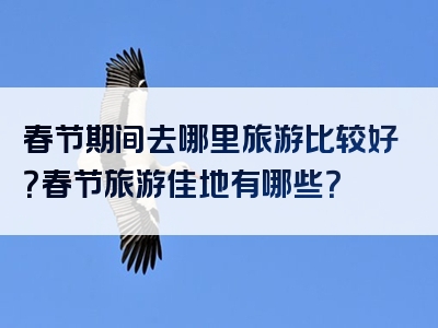春节期间去哪里旅游比较好？春节旅游佳地有哪些？