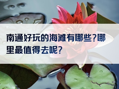 南通好玩的海滩有哪些？哪里最值得去呢？