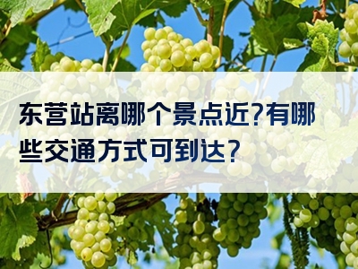东营站离哪个景点近？有哪些交通方式可到达？