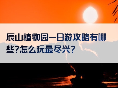辰山植物园一日游攻略有哪些？怎么玩最尽兴？