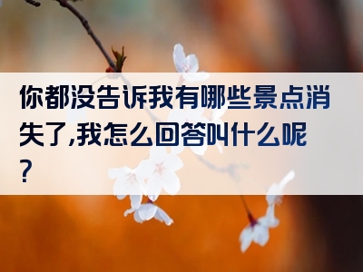 你都没告诉我有哪些景点消失了，我怎么回答叫什么呢？