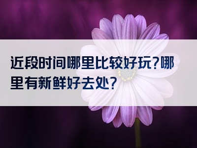 近段时间哪里比较好玩？哪里有新鲜好去处？
