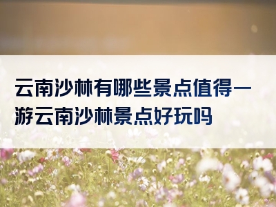 云南沙林有哪些景点值得一游云南沙林景点好玩吗