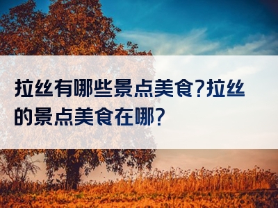 拉丝有哪些景点美食？拉丝的景点美食在哪？