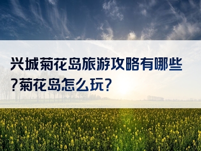兴城菊花岛旅游攻略有哪些？菊花岛怎么玩？