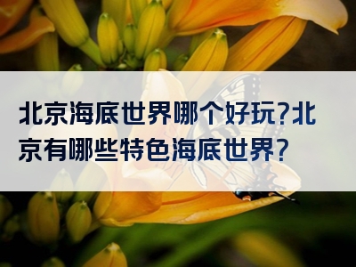 北京海底世界哪个好玩？北京有哪些特色海底世界？