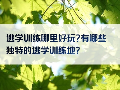 逃学训练哪里好玩？有哪些独特的逃学训练地？