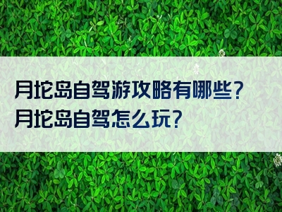 月坨岛自驾游攻略有哪些？月坨岛自驾怎么玩？
