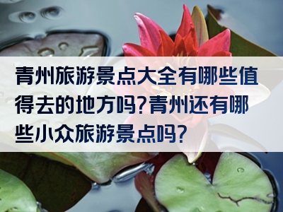 青州旅游景点大全有哪些值得去的地方吗？青州还有哪些小众旅游景点吗？