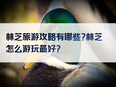 林芝旅游攻略有哪些？林芝怎么游玩最好？