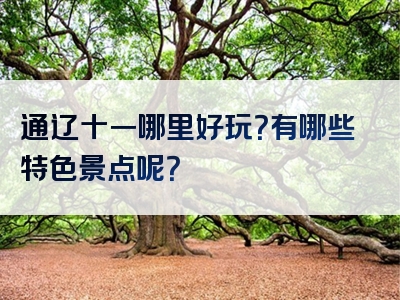 通辽十一哪里好玩？有哪些特色景点呢？