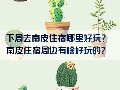 下周去南皮住宿哪里好玩？南皮住宿周边有啥好玩的？